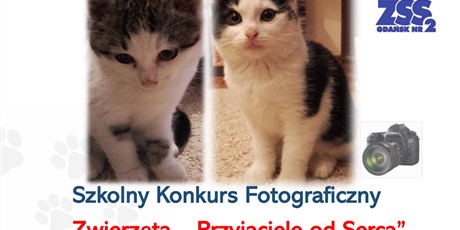 Powiększ grafikę: szkolny-konkurs-fotograficzny-zwierzeta-przyjaciele-od-serca-267546.jpg